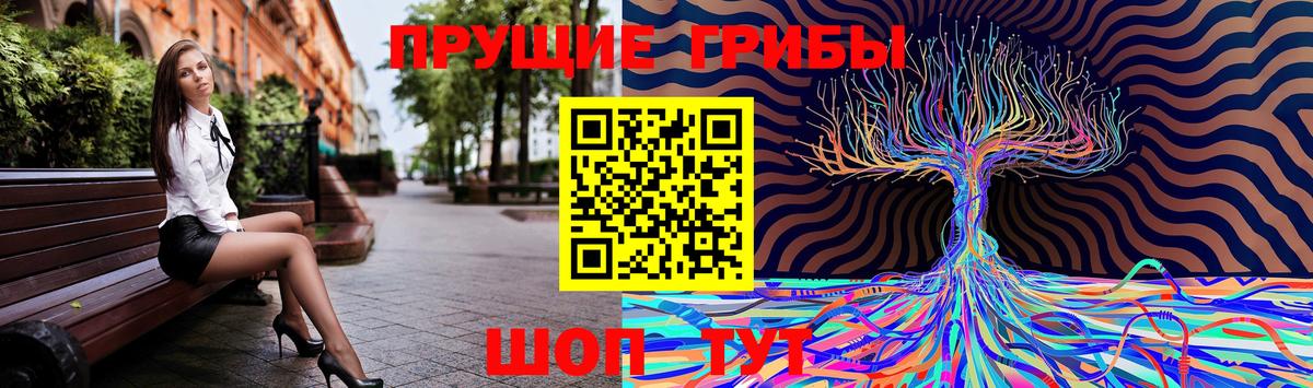 Псилоцибиновые грибы Psilocybine cubensis Десногорск