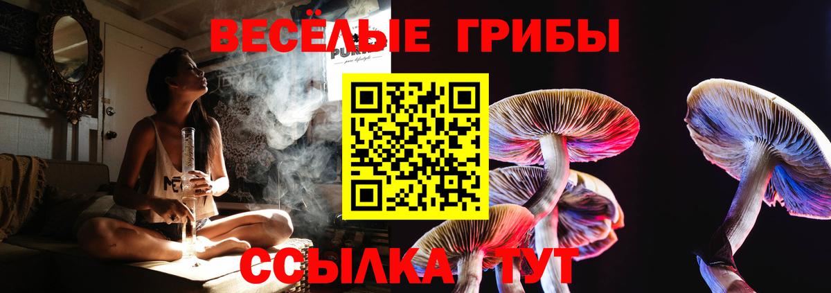 Десногорск  Псилоцибиновые грибы Psilocybe  сколько стоит  Вход с VPN 
